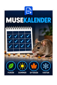 Musekalender (PDF)
